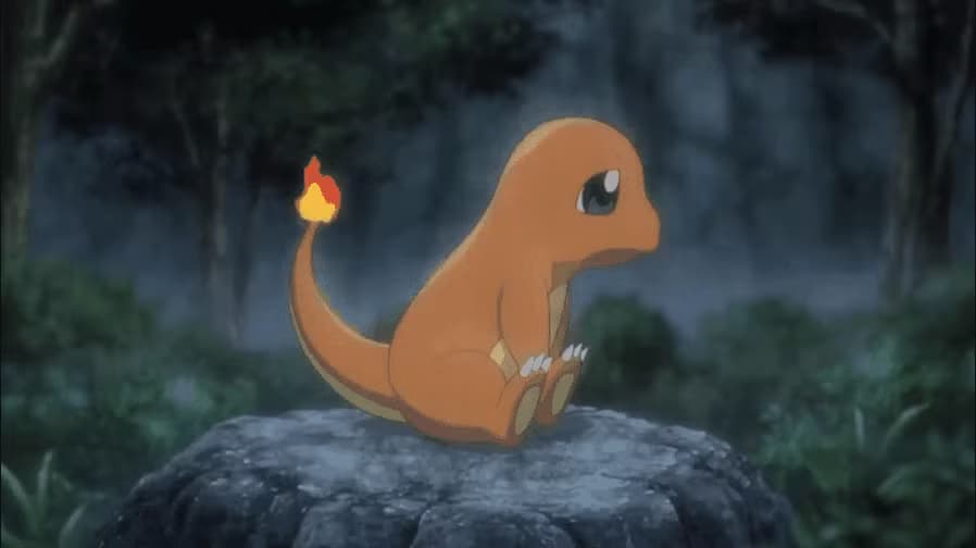Charmander looking at a campfire